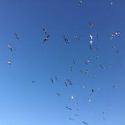 Le Tréport 27/02/2023