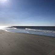 Baie de Somme (Somme) 28/02/2023