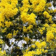 Mandelieu-la-Napoule 28/02/2023