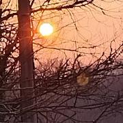 La Roque-Gageac 04/03/2023