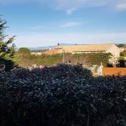 Rochefort-du-Gard 12/03/2023