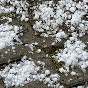 Schnepfenried 13/03/2023