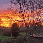 Écorpain 17/03/2023