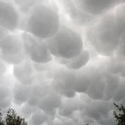 L'Étang-Bertrand 18/03/2023