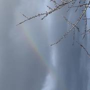 Crégy-lès-Meaux 18/03/2023