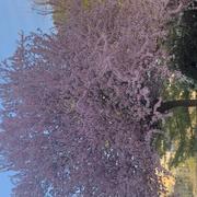 Aix-en-Provence 22/03/2023