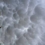 Saint-Germain-de-Martigny 24/03/2023