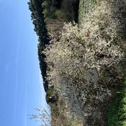 Villeneuve-Minervois 25/03/2023