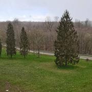 Behren-lès-Forbach 27/03/2023