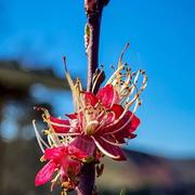 Condat-sur-Vézère 28/03/2023