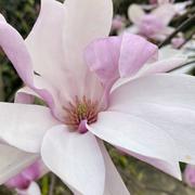 Saint-Augustin 29/03/2023