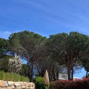 Sainte-Maxime 13/04/2023