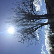 Mairé-Levescault 15/04/2023