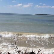 La Tremblade 17/04/2023