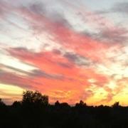 Saint-Fraimbault 23/08/2010