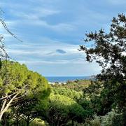 Sainte-Maxime 25/04/2023