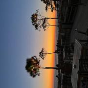 Pyla-sur-Mer 01/05/2023