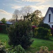 Hautot-sur-Mer 01/05/2023