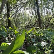 La Boisse 01/05/2023