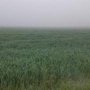 Isles-lès-Villenoy 02/05/2023