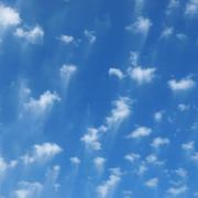 Alhaurín el Grande 06/05/2023