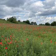 Pouy-Loubrin 14/05/2023