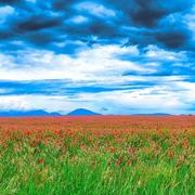 Valensole 19/05/2023