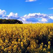 La Heunière 22/05/2023