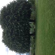 Villeneuve-sur-Lot 22/05/2023