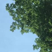 Chevreuse 22/05/2023