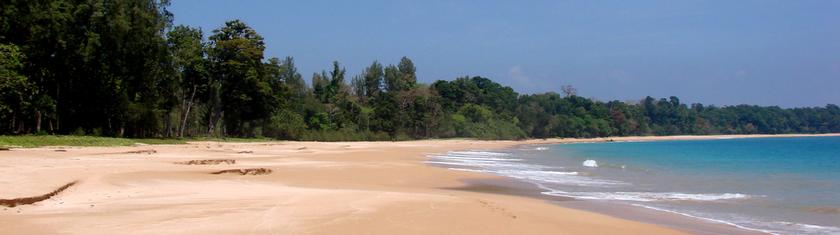 Little Andaman : petite île, grande découverte ! 