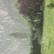 Guillaumes 04/06/2023