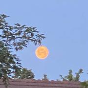 Guibeville 05/06/2023