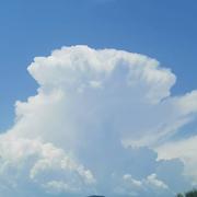 Saint-Paul-Trois-Châteaux 05/06/2023