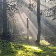 Le Bessat 07/06/2023