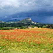 Puy De Manse Forest St Julien 10/06/2023