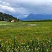 Col De Rousset 10/06/2023