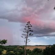 Lasséran 12/06/2023