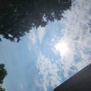 Saint-Antoine-la-Forêt 12/06/2023