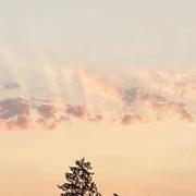 Pressagny-l'Orgueilleux 13/06/2023