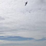 Châteauneuf-de-Gadagne 15/06/2023