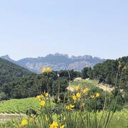 Le Barroux 17/06/2023