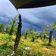 Pont-l'Évêque 18/06/2023