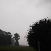 Campagne-lès-Hesdin 18/06/2023