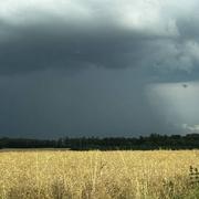 Leignes-sur-Fontaine 24/06/2023