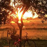 Tour-en-Sologne 25/06/2023