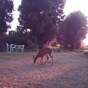 Le Château-d'Oléron 26/06/2023