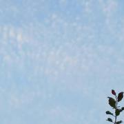 Châteauneuf-Val-de-Bargis 28/06/2023