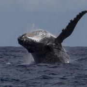 Saint-Joseph 30/06/2023