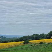 Beauregard-de-Terrasson 03/07/2023